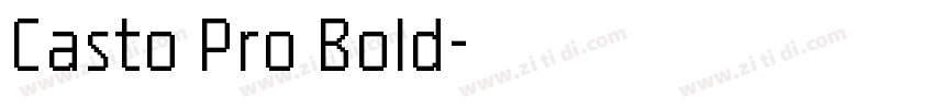 Casto Pro Bold字体转换